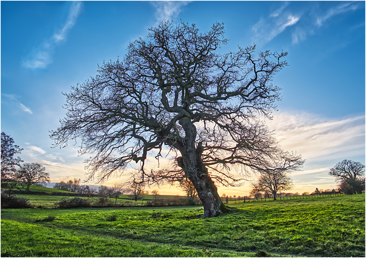 Forty thousand sunsets - and counting - Harvey Perkins